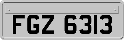 FGZ6313