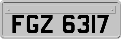 FGZ6317