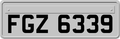 FGZ6339