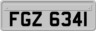FGZ6341