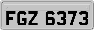 FGZ6373