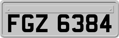 FGZ6384