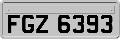 FGZ6393