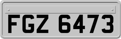 FGZ6473