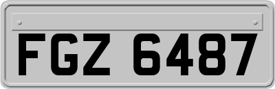 FGZ6487