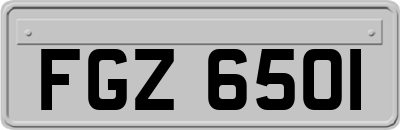 FGZ6501