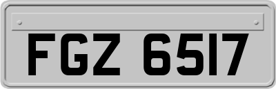 FGZ6517