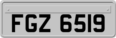 FGZ6519