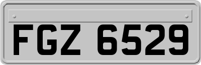 FGZ6529
