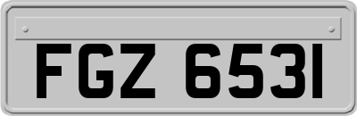 FGZ6531