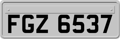 FGZ6537
