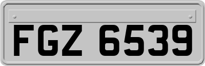 FGZ6539