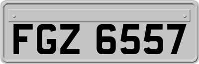 FGZ6557