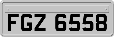 FGZ6558