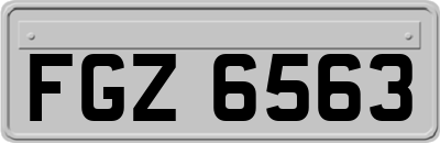 FGZ6563