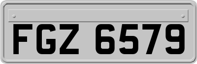 FGZ6579