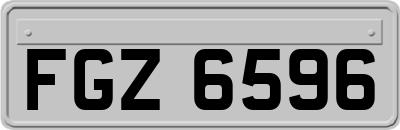 FGZ6596