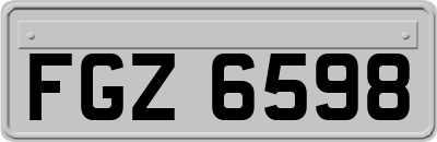 FGZ6598