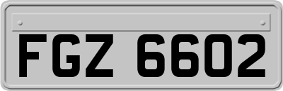 FGZ6602