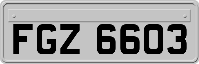 FGZ6603