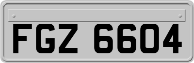 FGZ6604