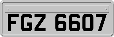 FGZ6607