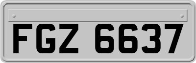 FGZ6637