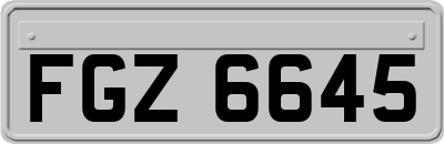 FGZ6645