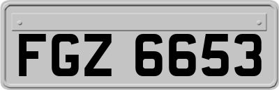 FGZ6653