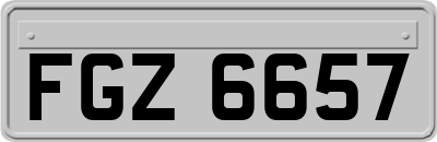 FGZ6657