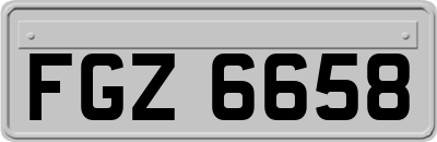 FGZ6658