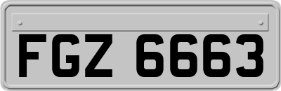 FGZ6663