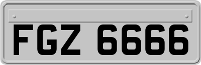 FGZ6666