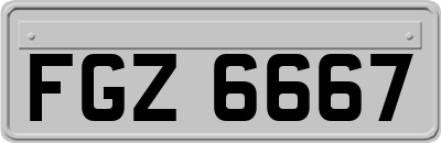 FGZ6667