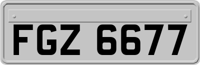 FGZ6677