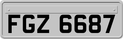 FGZ6687