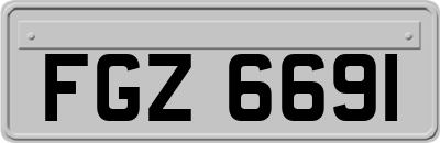 FGZ6691