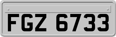 FGZ6733