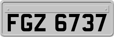 FGZ6737