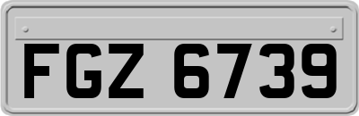 FGZ6739