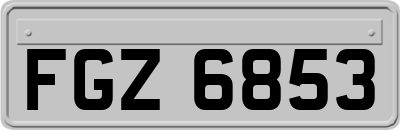 FGZ6853