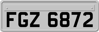 FGZ6872