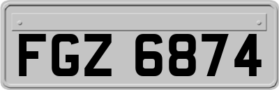 FGZ6874