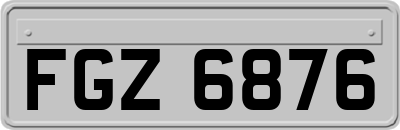 FGZ6876