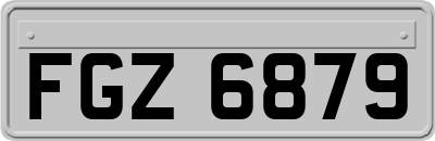 FGZ6879