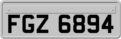 FGZ6894