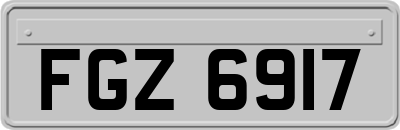 FGZ6917