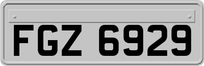 FGZ6929