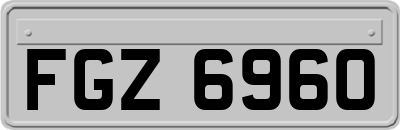 FGZ6960