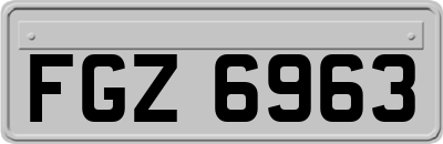 FGZ6963